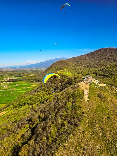 سایت بردنا گلوگاه