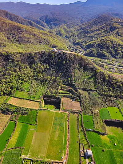 سایت بردنا گلوگاه