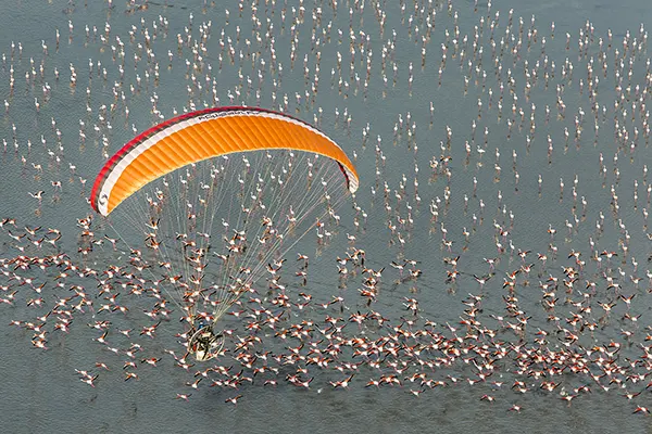 البرز و زاگرس با امین حزینی