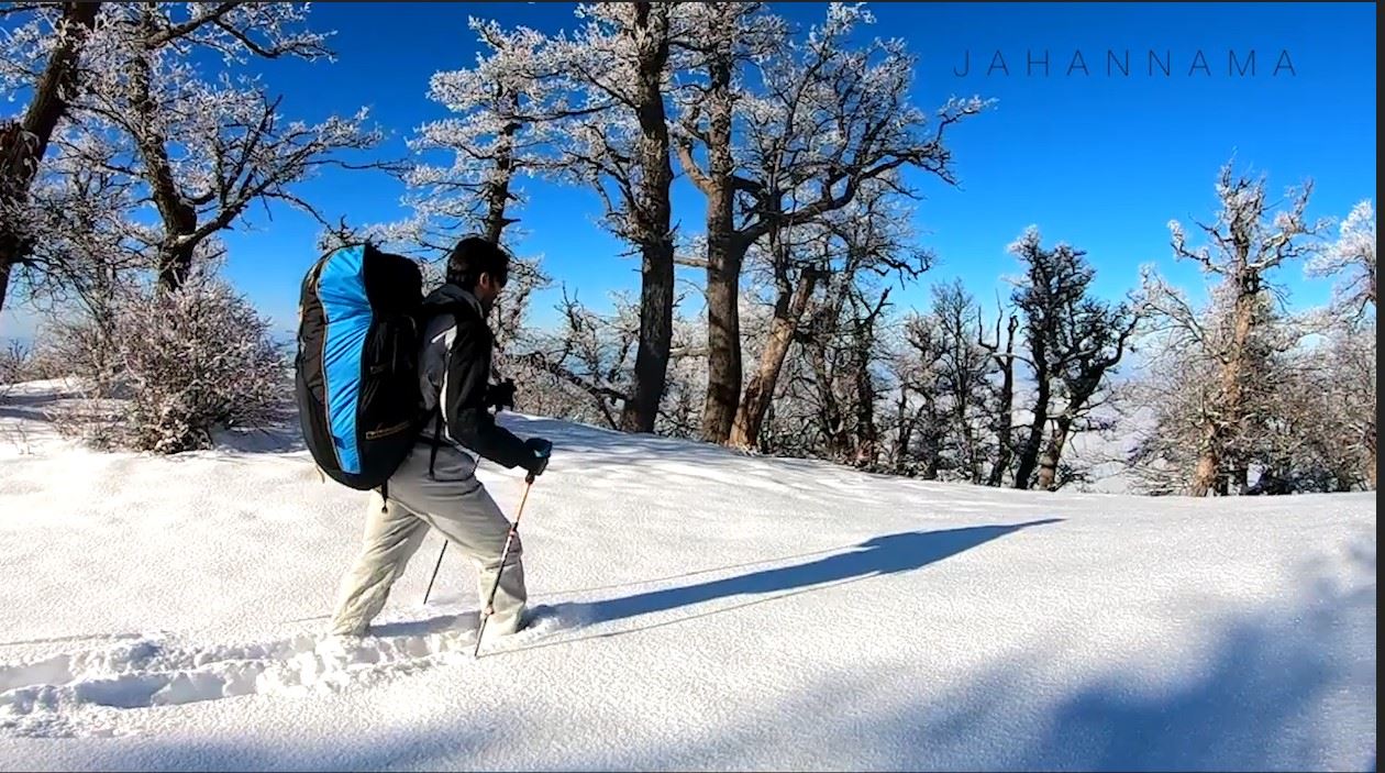 ویدئوی معرفی امین حزینی